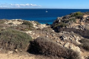 From Trapani: Favignana and Levanzo Mini Cruise with Lunch