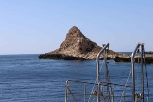 From Trapani: Favignana and Levanzo Mini Cruise with Lunch