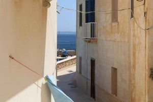 From Trapani: Favignana and Levanzo Mini Cruise with Lunch