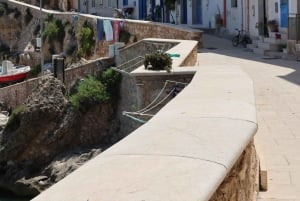 From Trapani: Favignana and Levanzo Mini Cruise with Lunch