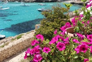 From Trapani: Favignana and Levanzo Mini Cruise with Lunch