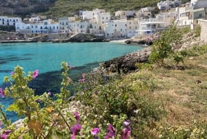 From Trapani: Favignana and Levanzo Motorboat Cruise