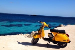 Trapanista: Trapaniasta: Favignana ja Levanzo Shuttle Tour