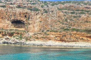 Trapanista: Trapaniasta: Favignana ja Levanzo Shuttle Tour
