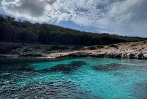 Trapanista: Trapaniasta: Favignana ja Levanzo Shuttle Tour