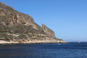 Trapanista: Trapaniasta: Favignana ja Levanzo Shuttle Tour