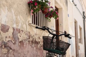 Trapanista: Trapaniasta: Favignana ja Levanzo Shuttle Tour