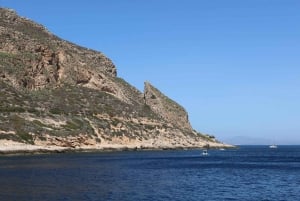Trapanista: Trapaniasta: Favignana ja Levanzo Shuttle Tour