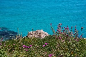 Depuis Trapani : visite en navette de Favignana et Levanzo