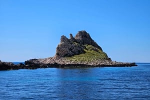 Depuis Trapani : visite en navette de Favignana et Levanzo