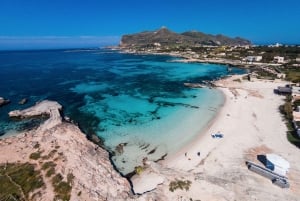 Depuis Trapani : visite en navette de Favignana et Levanzo