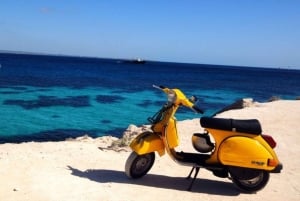 Depuis Trapani : visite en navette de Favignana et Levanzo