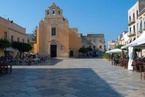 Depuis Trapani : visite en navette de Favignana et Levanzo