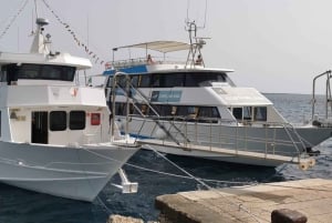 Depuis Trapani : visite en navette de Favignana et Levanzo