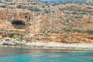 Depuis Trapani : visite en navette de Favignana et Levanzo