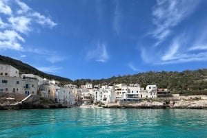 Depuis Trapani : visite en navette de Favignana et Levanzo