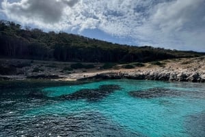 Depuis Trapani : visite en navette de Favignana et Levanzo
