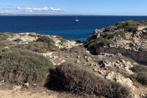 Depuis Trapani : visite en navette de Favignana et Levanzo