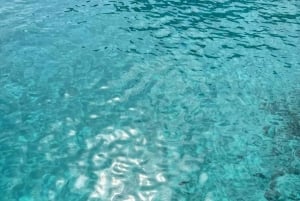 Depuis Trapani : visite en navette de Favignana et Levanzo