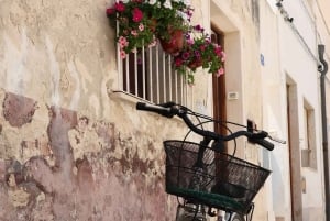 Depuis Trapani : visite en navette de Favignana et Levanzo