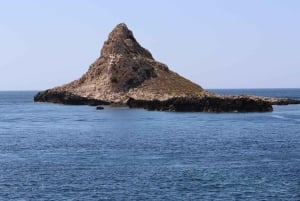 Depuis Trapani : visite en navette de Favignana et Levanzo