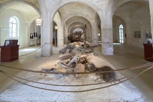 Depuis Trapani : visite en navette de Favignana et Levanzo