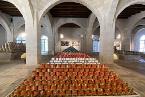 Depuis Trapani : visite en navette de Favignana et Levanzo