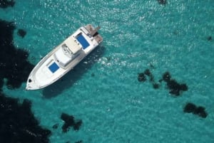 Fra Trapani: Favignana og Levanzo Yacht Tour med lunsj