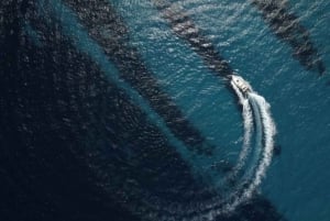 Fra Trapani: Favignana og Levanzo Yacht Tour med lunsj