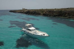 Fra Trapani: Favignana og Levanzo Yacht Tour med lunsj