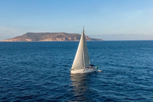 De Trapani: Viagem de 1 dia em um barco a vela para Favignana e Levanzo
