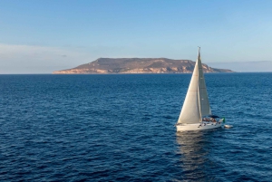 Von Trapani aus: Ganztägige Segelbootstour nach Favignana und Levanzo