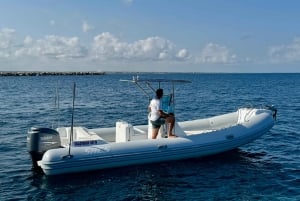 Från Trapani: Heldagstur till Favignana och Levanzo med lunch och aperitif