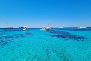 Z Trapani: Favignana i Levanzo - całodniowa wycieczka z lunchem i aperitifem