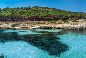 From Trapani: Private Sail Boat Trip to Favignana & Levanzo