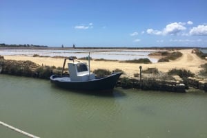 From Trapani: Stagnone Islands of Marsala and salt pans