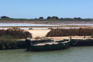 From Trapani: Stagnone Islands of Marsala and salt pans