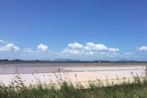 From Trapani: Stagnone Islands of Marsala and salt pans