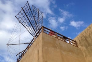 From Trapani: Stagnone Islands of Marsala and salt pans