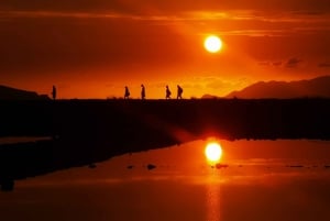 From Trapani: Stagnone Islands of Marsala and salt pans