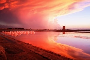 From Trapani: Stagnone Islands of Marsala and salt pans