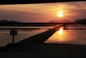 From Trapani: Stagnone Islands of Marsala and salt pans