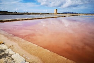 From Trapani: Stagnone Islands of Marsala and salt pans