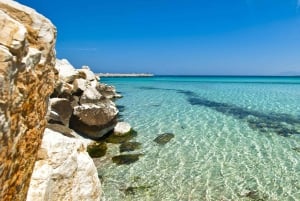 Depuis Trapani : visite de San Vito lo Capo, de la réserve naturelle de Zingaro et de Scopello