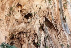 Från Trapani: Naturreservatet Zingaro - vandring och snokreling