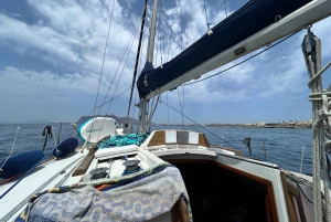 Da TrapaniEgadiIsole Tour in barca a vela con pranzo in barca