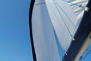 Da TrapaniEgadiIsole Tour in barca a vela con pranzo in barca