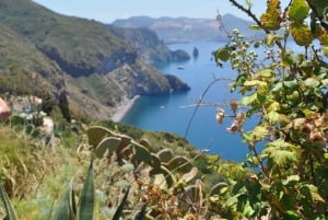 Da Tropea: Day Trip with Vulcano Lipari Stromboli