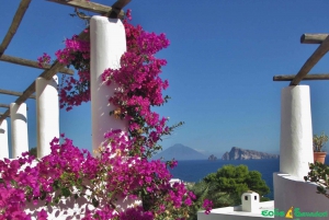 Da Tropea: Day Trip with Vulcano Lipari Stromboli