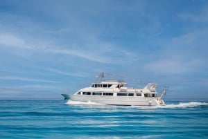 Desde Tropea: Crucero nocturno Lipari Panarea Stromboli